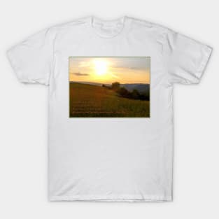 Monroe Fence line 2 T-Shirt